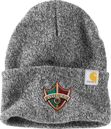 Delaware Ducks Carhartt Watch Cap 2.0