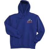 CT Wolfpack South Super Heavyweight Fleece Hoodie