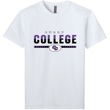 Curry College Soft Wash Cotton Tee