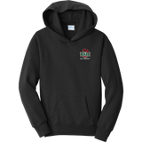 Wash U Youth Fan Favorite Fleece Pullover Hooded Sweatshirt